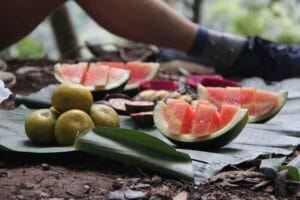 four days jungle trekking
