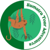 Sumatra Tour Adventures