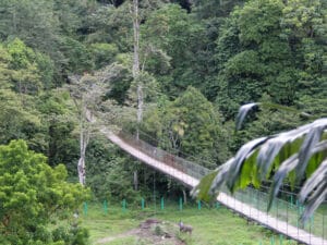 Full day tangkahan tour