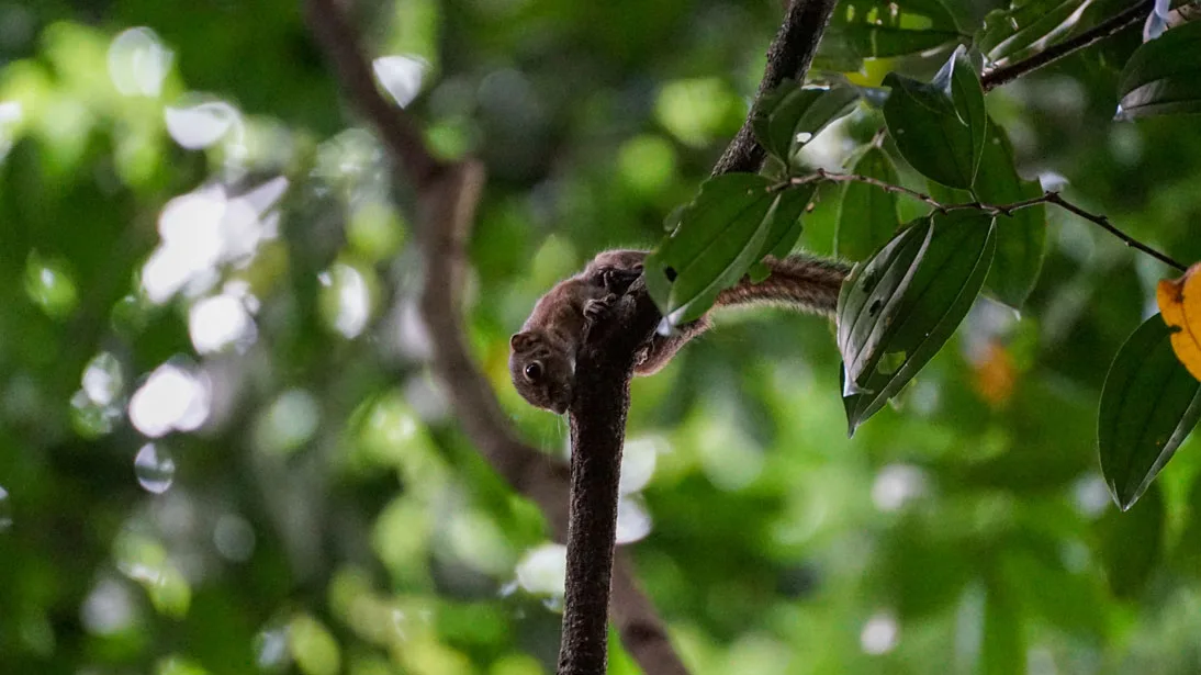 Sumatra tour adventures