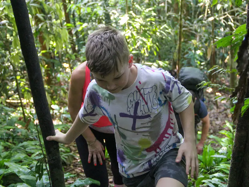 two days jungle trekking