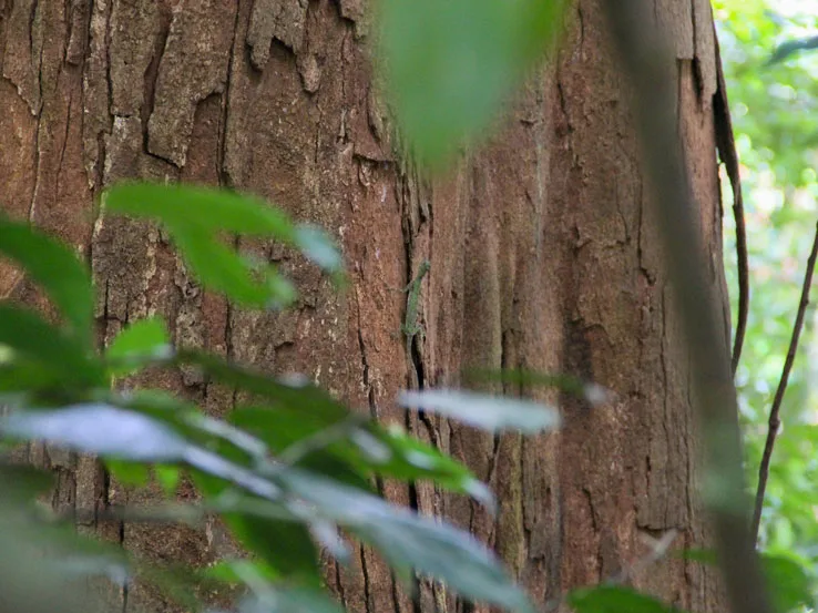 SumatraTourAdventures-9