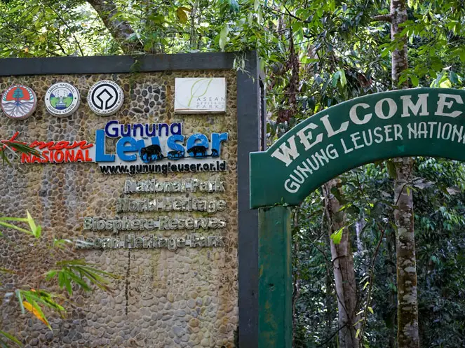 bukit lawang