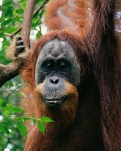 one day jungle trekking