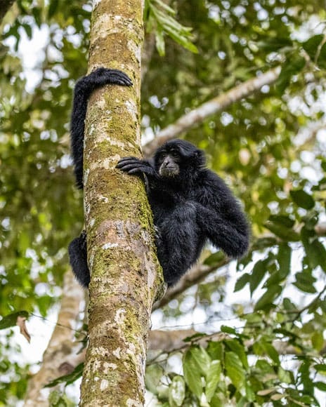 two days jungle trekking