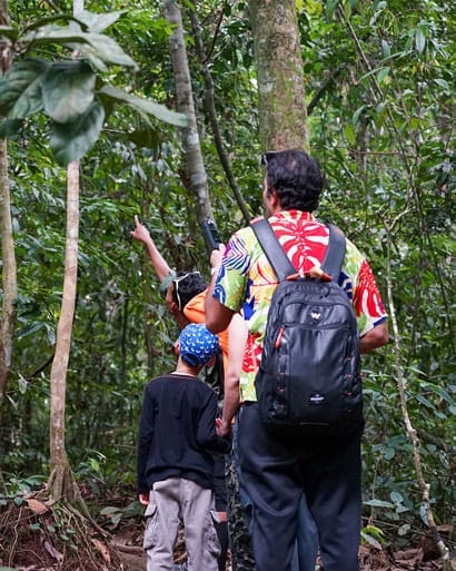three days jungle trekking
