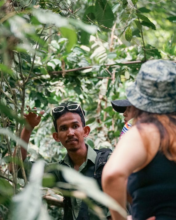 Five days jungle trekking