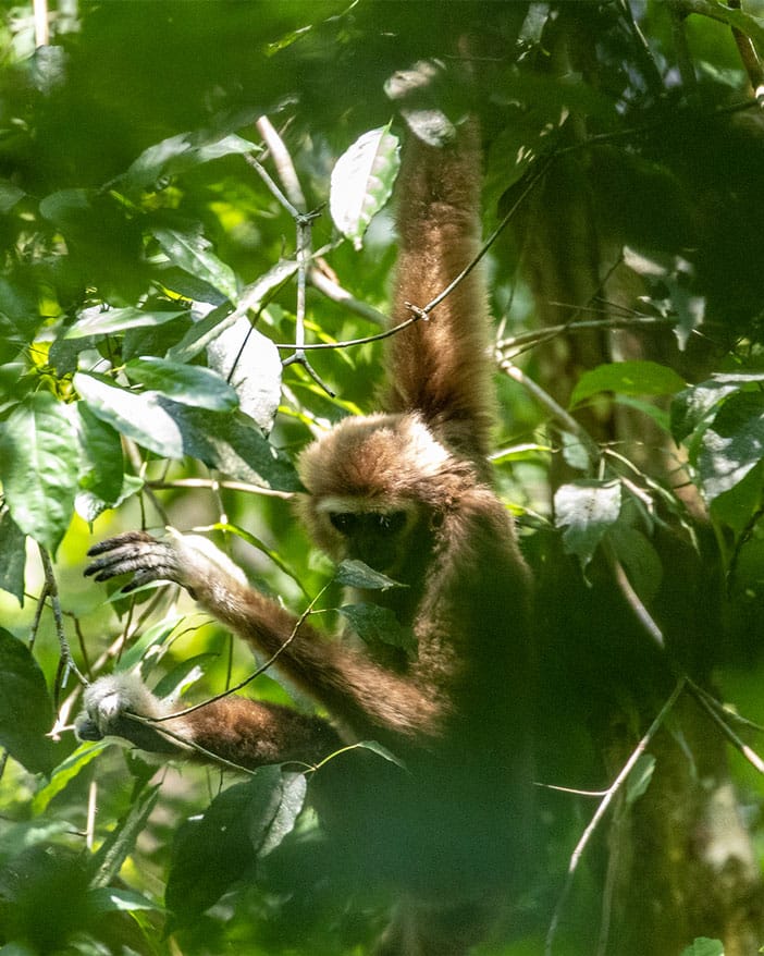 sumatratouradventures
