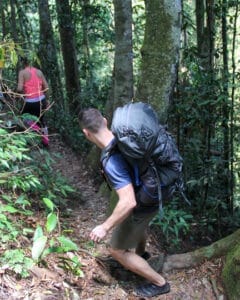 one day jungle trekking