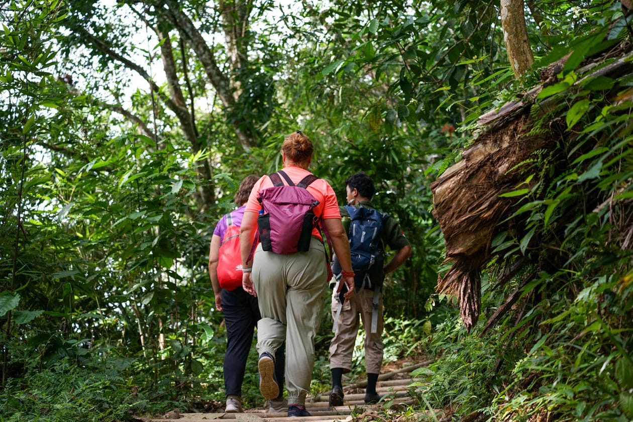 3 days Bukit Lawang tour
