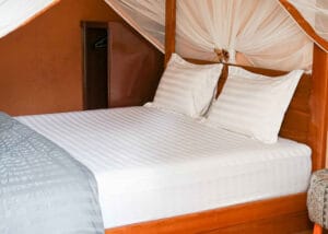 3 day Bukit Lawang tour
