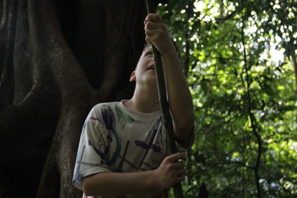 three hours jungle trekking
