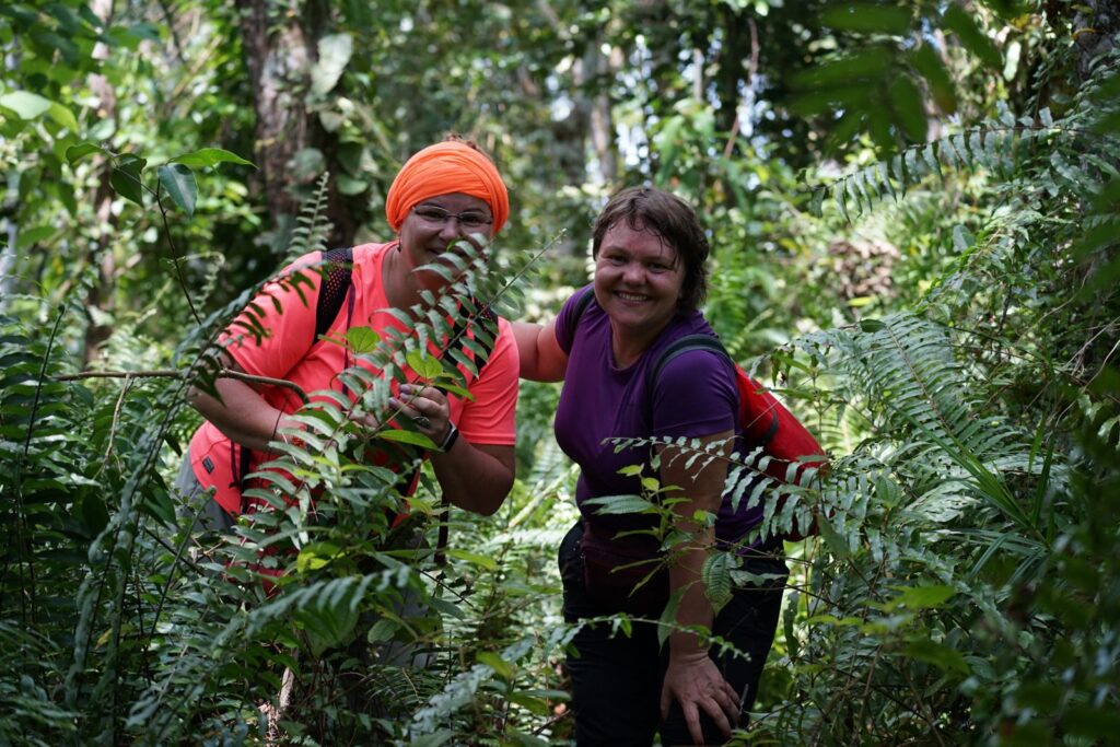 Bukit Lawang tour and trekking