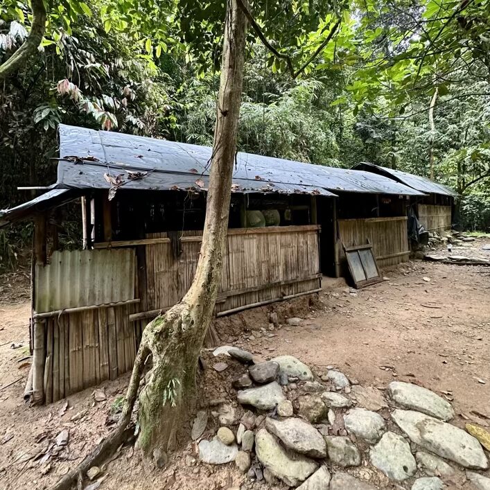 Bukit lawang tour