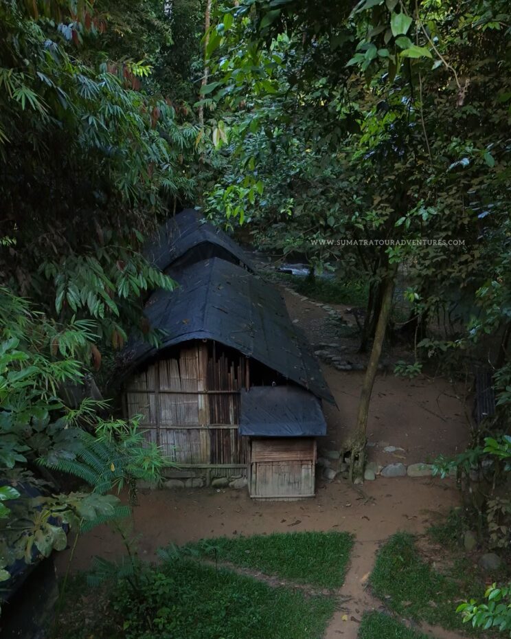 campsite